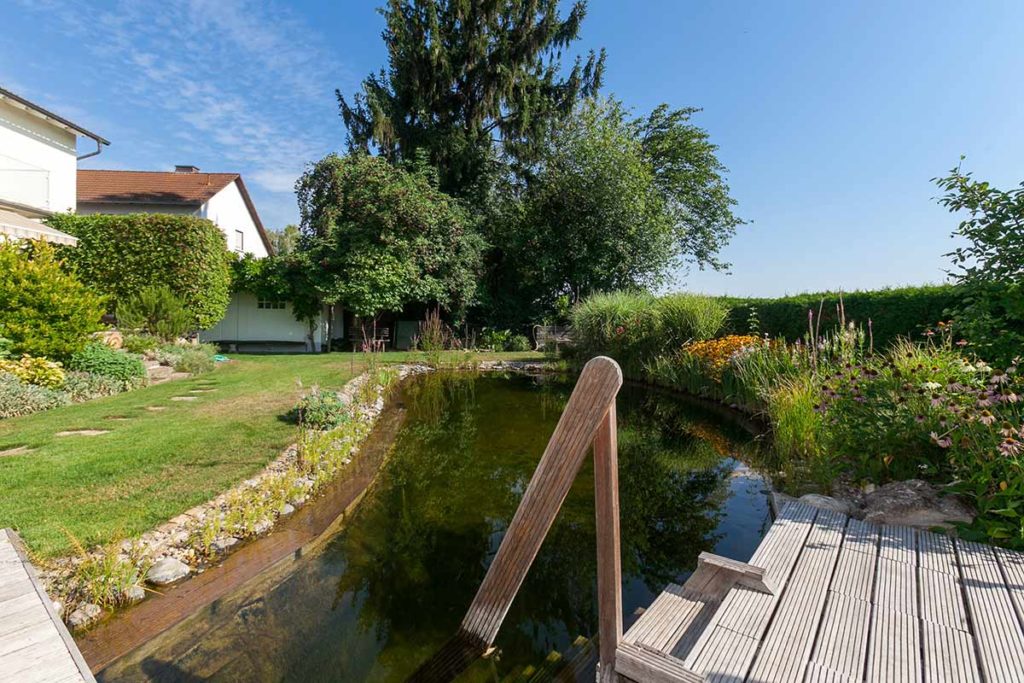 Gartenteich Natur Pur