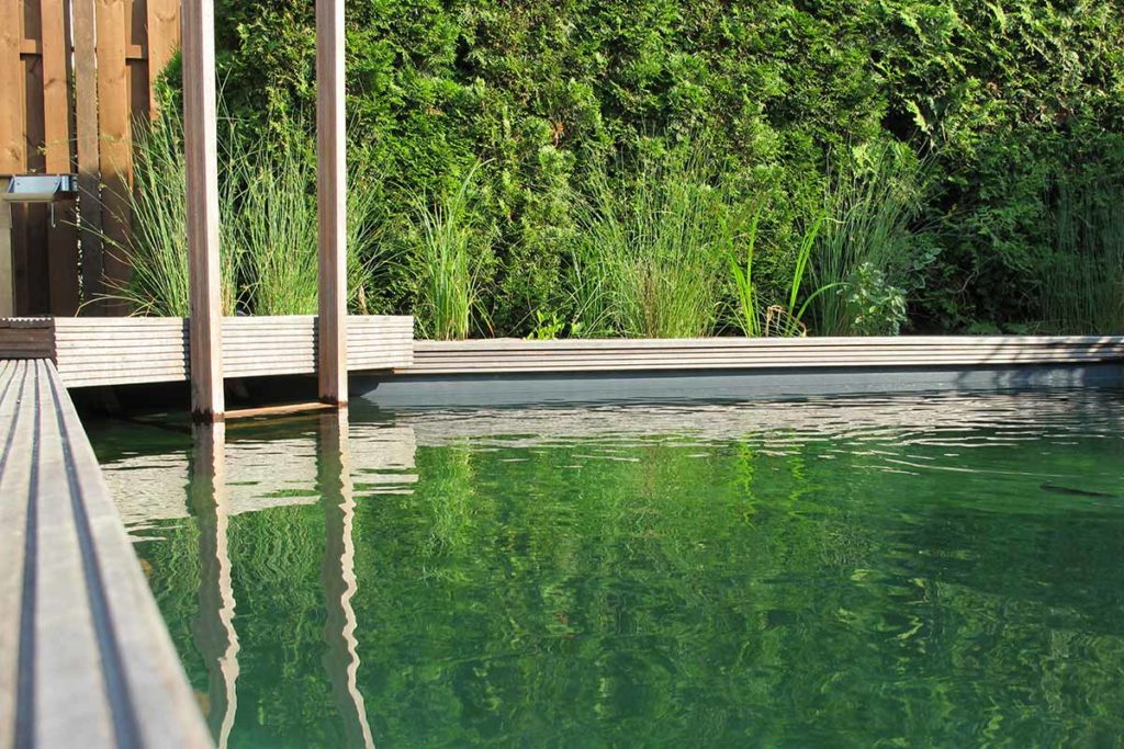 Naturpool