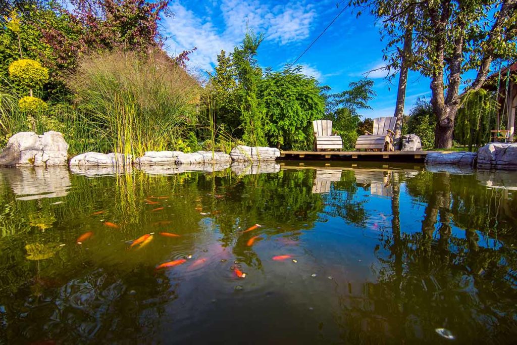Zier- und Fischteich
